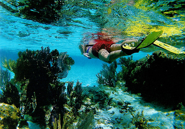 underwater-org.jpg