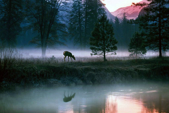 Mystical-Waters-Yosemite-1-2YVUCGL3HI-1024x768.jpg