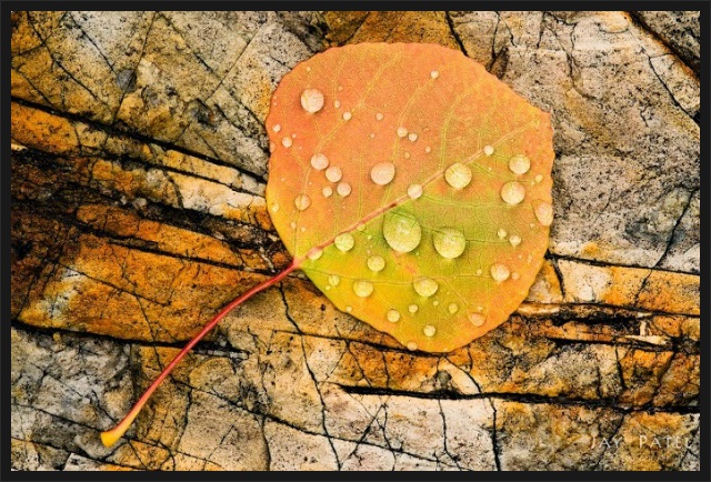 가을의 흔적.jpg