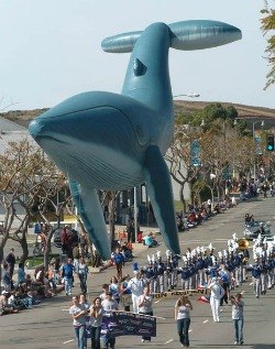 festival_of_whales_dana_point.jpg