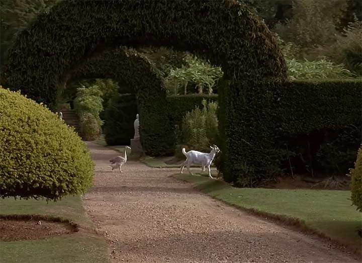 비밀의  정원1.jpg